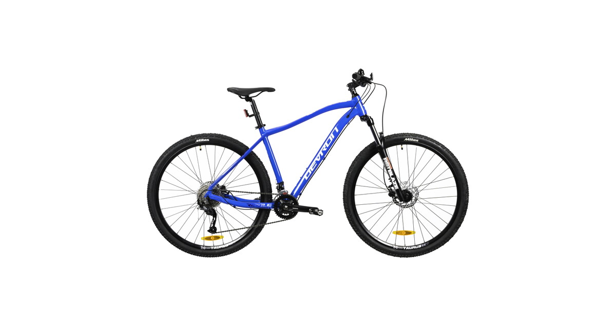 Mountain Bike Devron Riddle Man 2.9 29 1RM29 inSPORTline